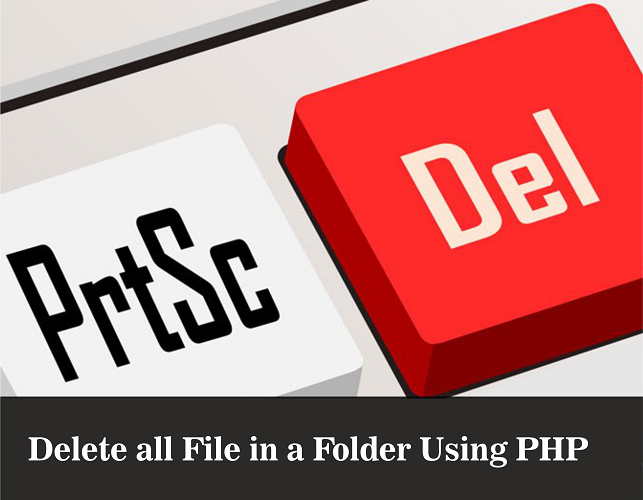 delete all files from folder in php